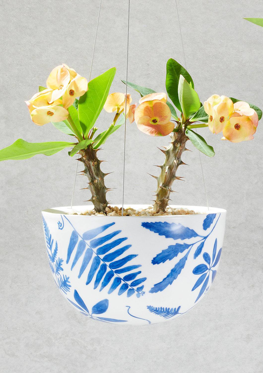angus & celeste hanging planter Angus & Celeste Hanging Planter - Large Blue Botanical
