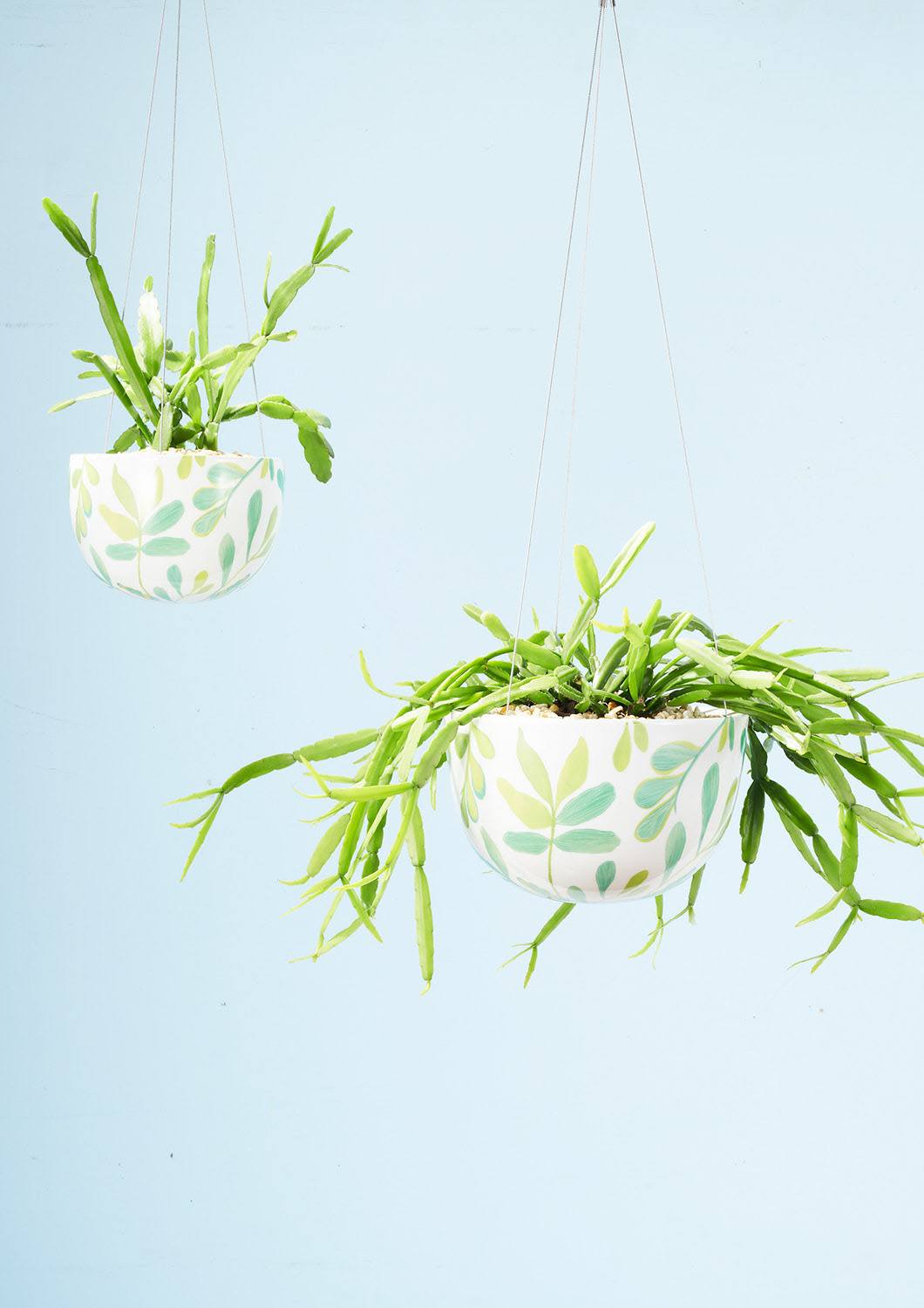 terrazzo hanging planter Angus & Celeste Hanging Planter - Large Green Zamia Palm