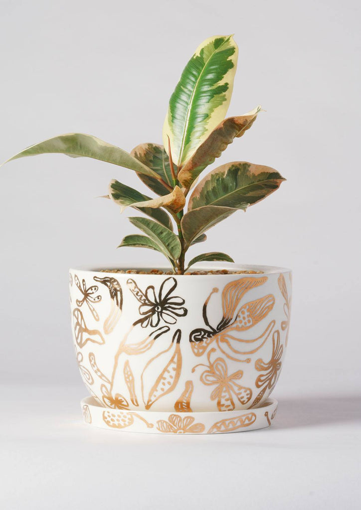 Angus & Celeste Decorative Plant Pot