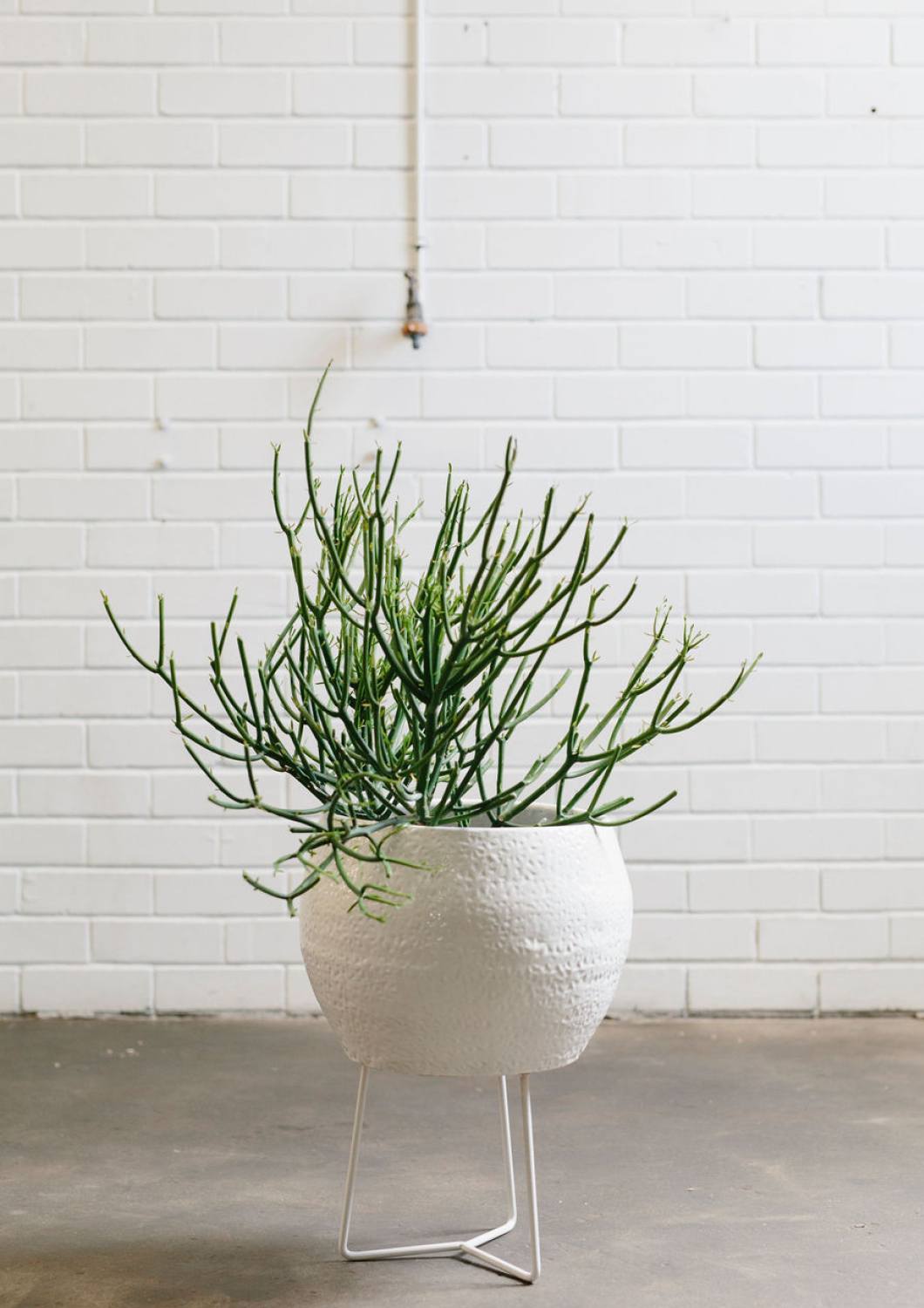 hand thrown plant pots Angus & Celeste Boulder Pot - Large White