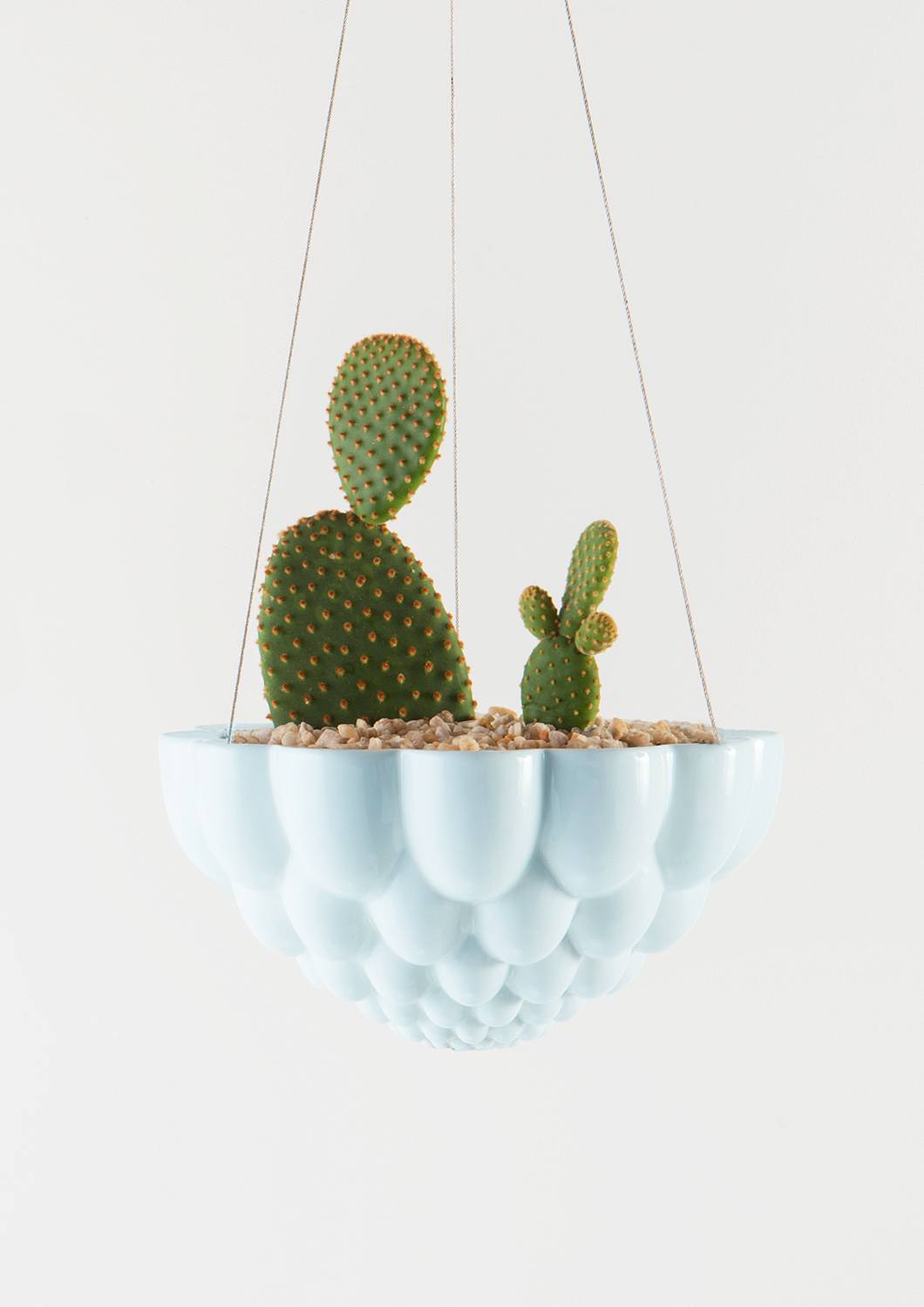 angus & celeste hanging planter Angus & Celeste Jelly Hanging Planter