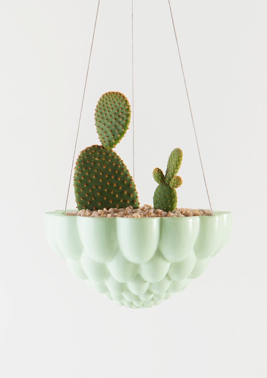 angus and celeste hanging planter Angus & Celeste Jelly Hanging Planter
