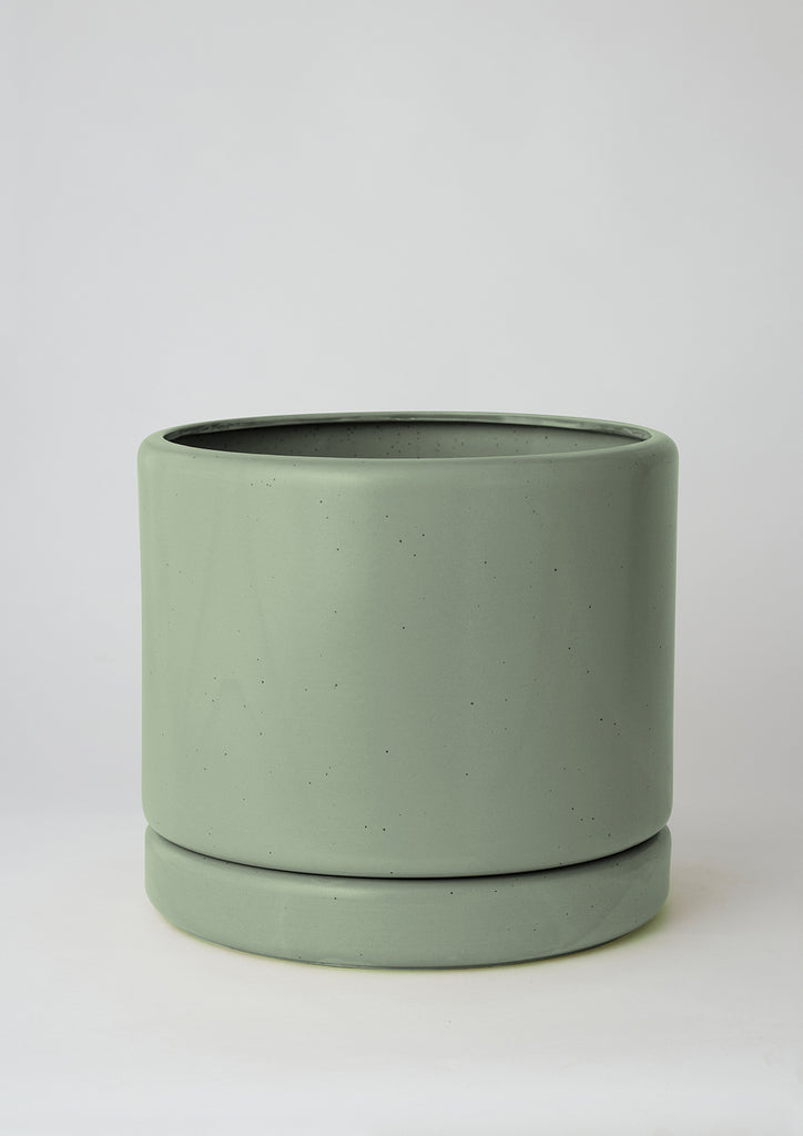 Angus & Celeste Soft Cylinder Planter Jungle Pot - Medium